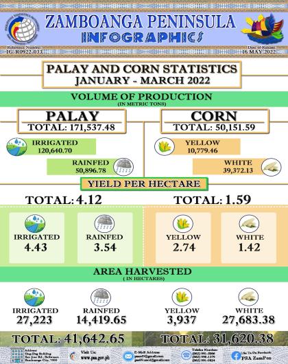 Palay and Corn Statistics 1st Quarter 2022