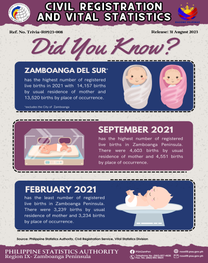 Registered Births by Month and Highly Urbanized City in Zamboanga Peninsula 2021