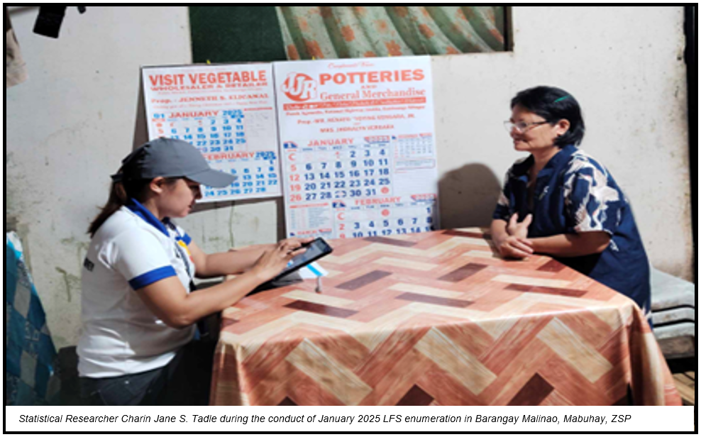 Statistical Researcher Charin Jane S. Tadle during the conduct of January 2025 LFS enumeration in Barangay Malinao, Mabuhay, ZSP