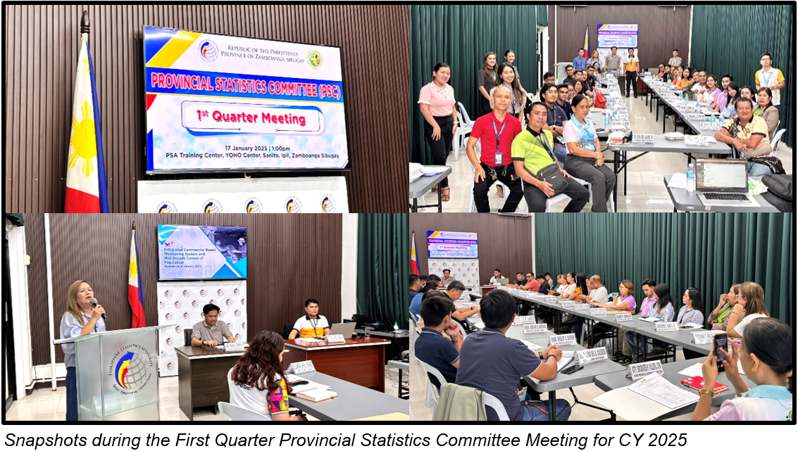 Snapshots during the First Quarter Provincial Statistics Committee Meeting for CY 2025