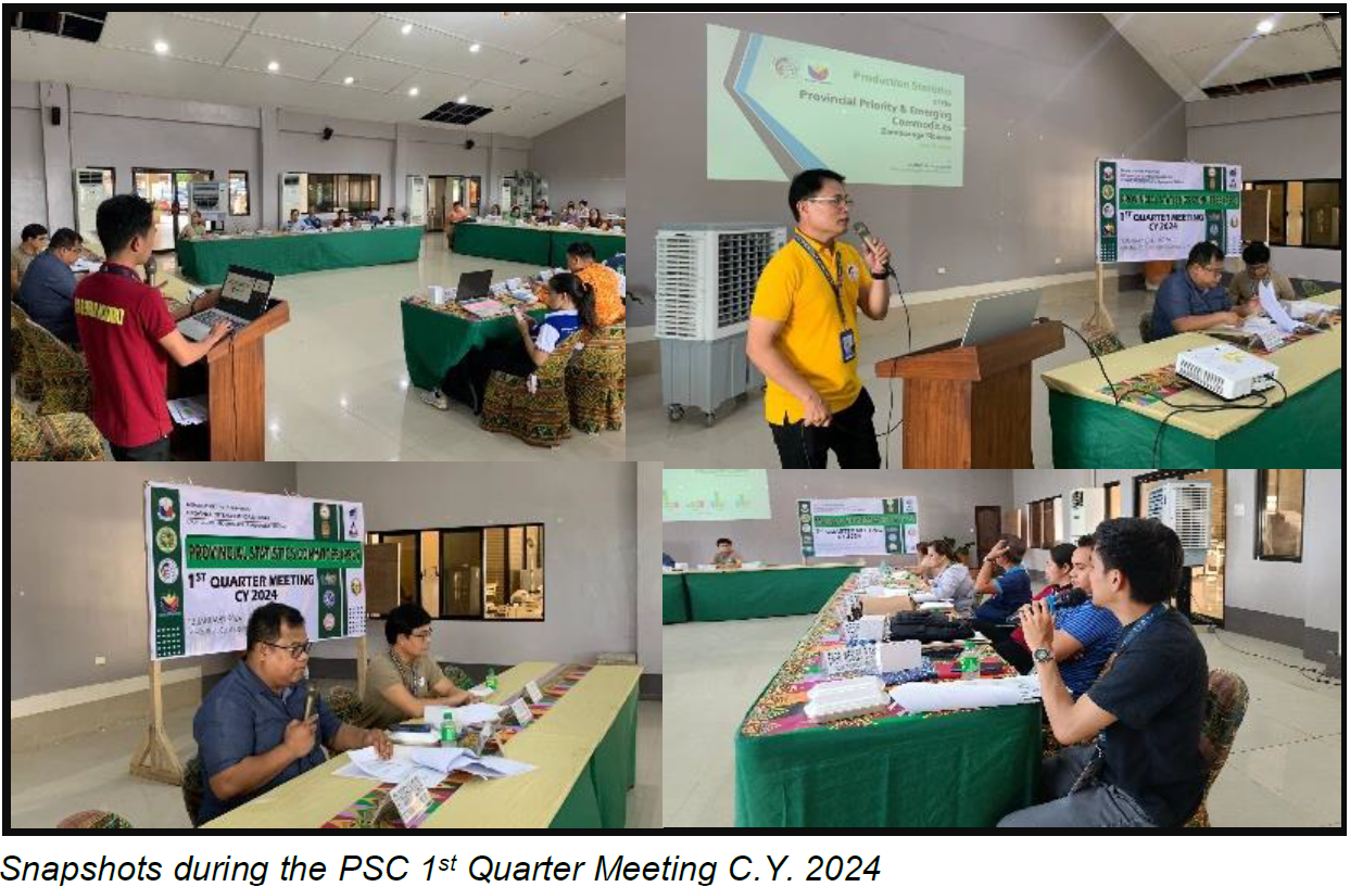 Snapshots during the PSC 1st Quarter Meeting C.Y. 2024