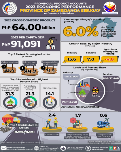 Provincial Product Accounts 2023 Economic Performance of Zamboanga Sibugay