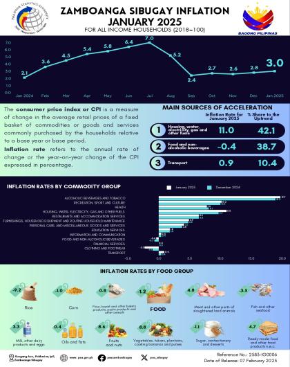 Zamboanga Sibugay Inflation: January 2025 (2018=100)