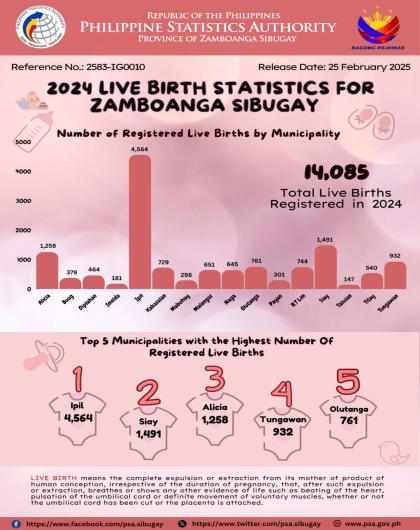 2024 Live Birth Statistics for Zamboanga Sibugay