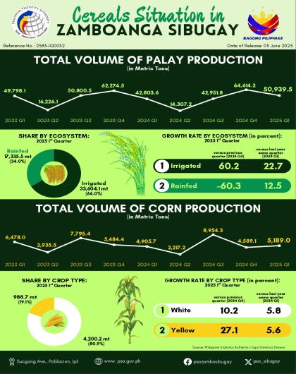 Cereals Situation in Zamboanga Sibugay