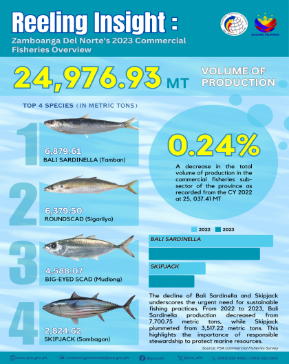 Zamboanga Del Norte's 2023 Commercial  Fisheries Overview