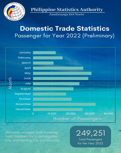 Domestic Trade Statistics Passenger for Year 2022 (Preliminary)