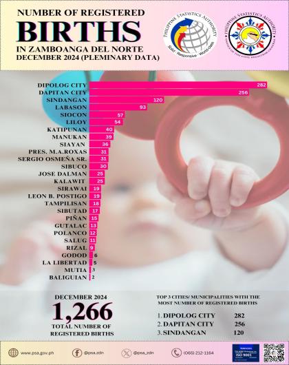 Number Of Registered Births December 2024