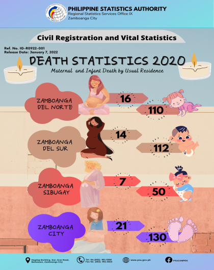 Death Statistics 2020 Maternal and Infant Death by Usual Residence