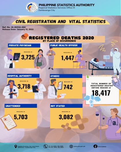 Registered Deaths 2020 by Place of Occurence 