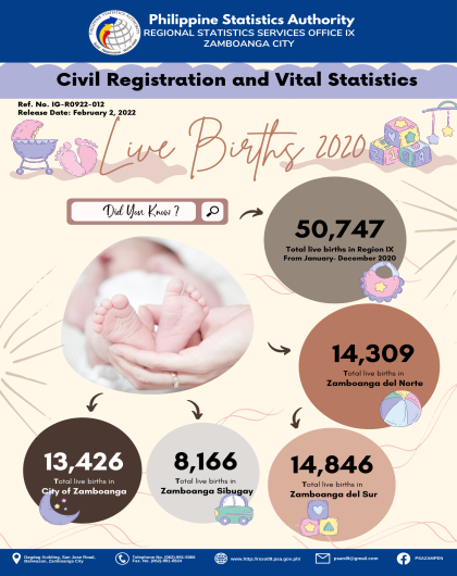 Live Births 2020 in Region IX