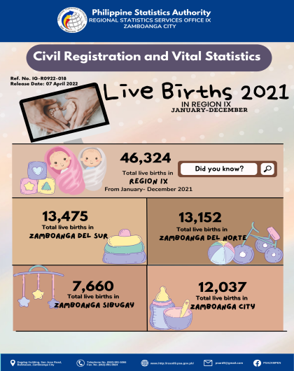 Live Births in Region IX January-December 2021