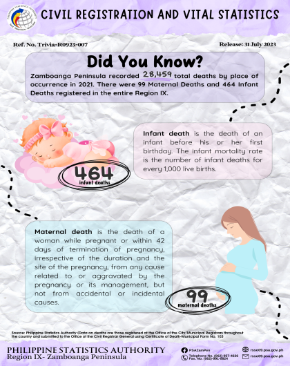 Registered Maternal Deaths and Infant Deaths by Place of Occurrence in Zamboanga Peninsula 2021